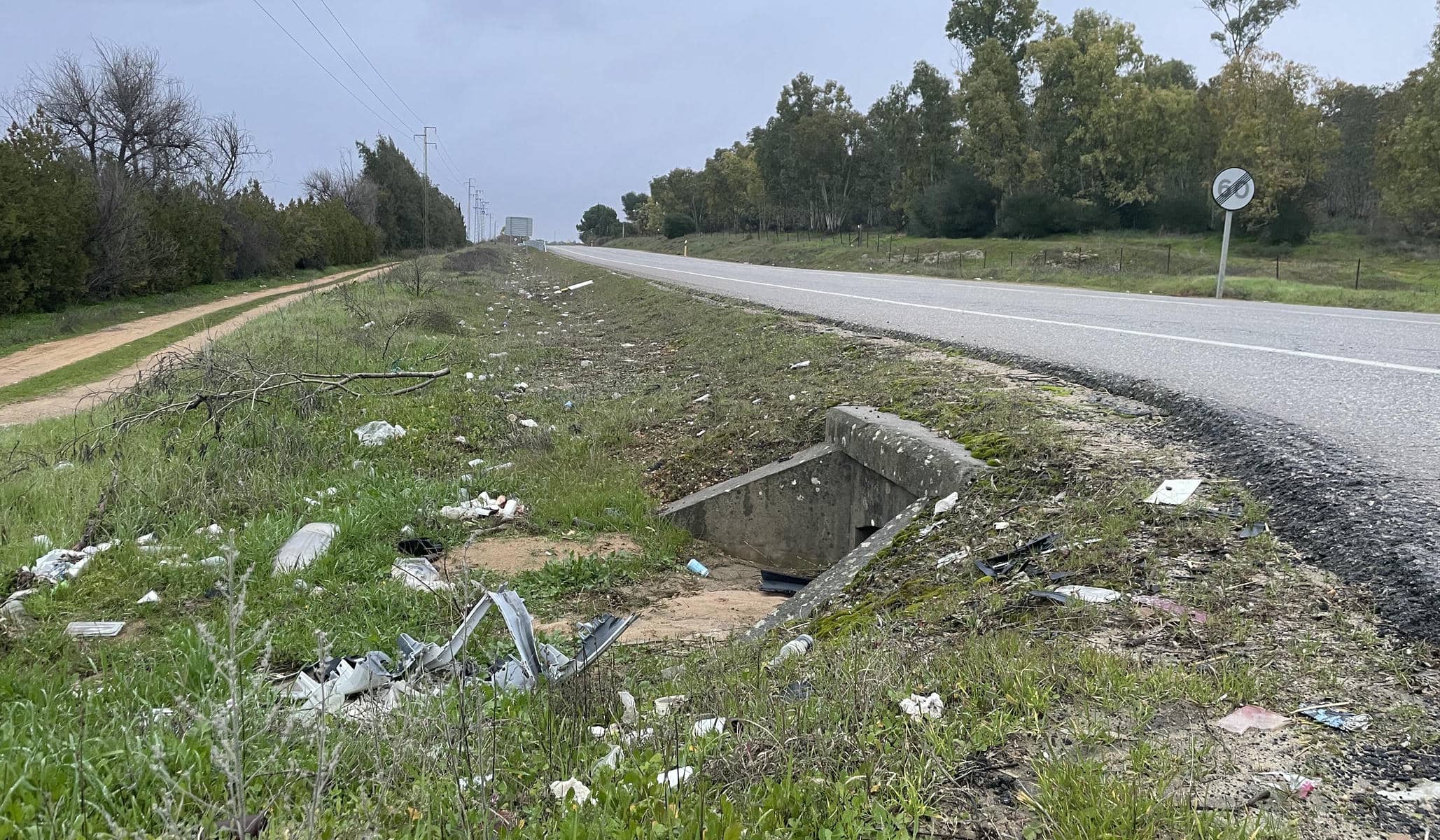 Las cunetas de la A-398 entre Carmona y El Viso del Alcor muestran una imagen desoladora.