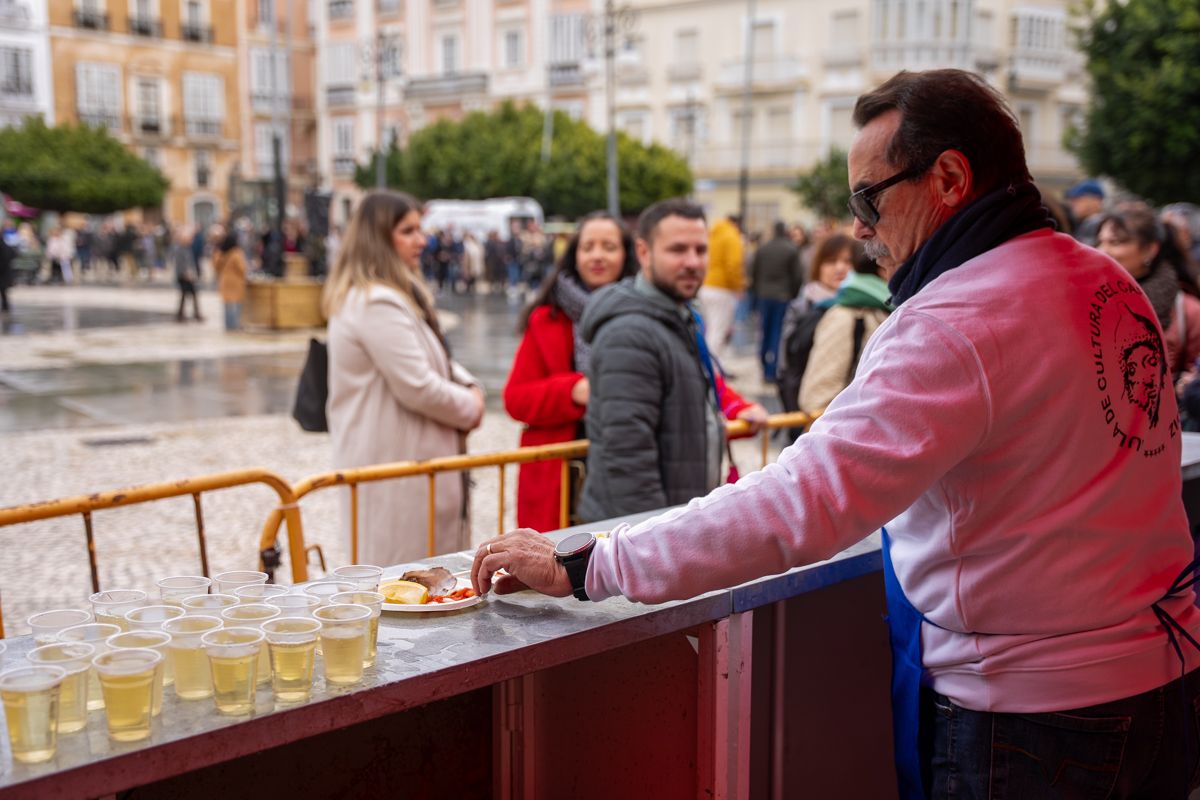 OSTIONADA CADIZ 2026
