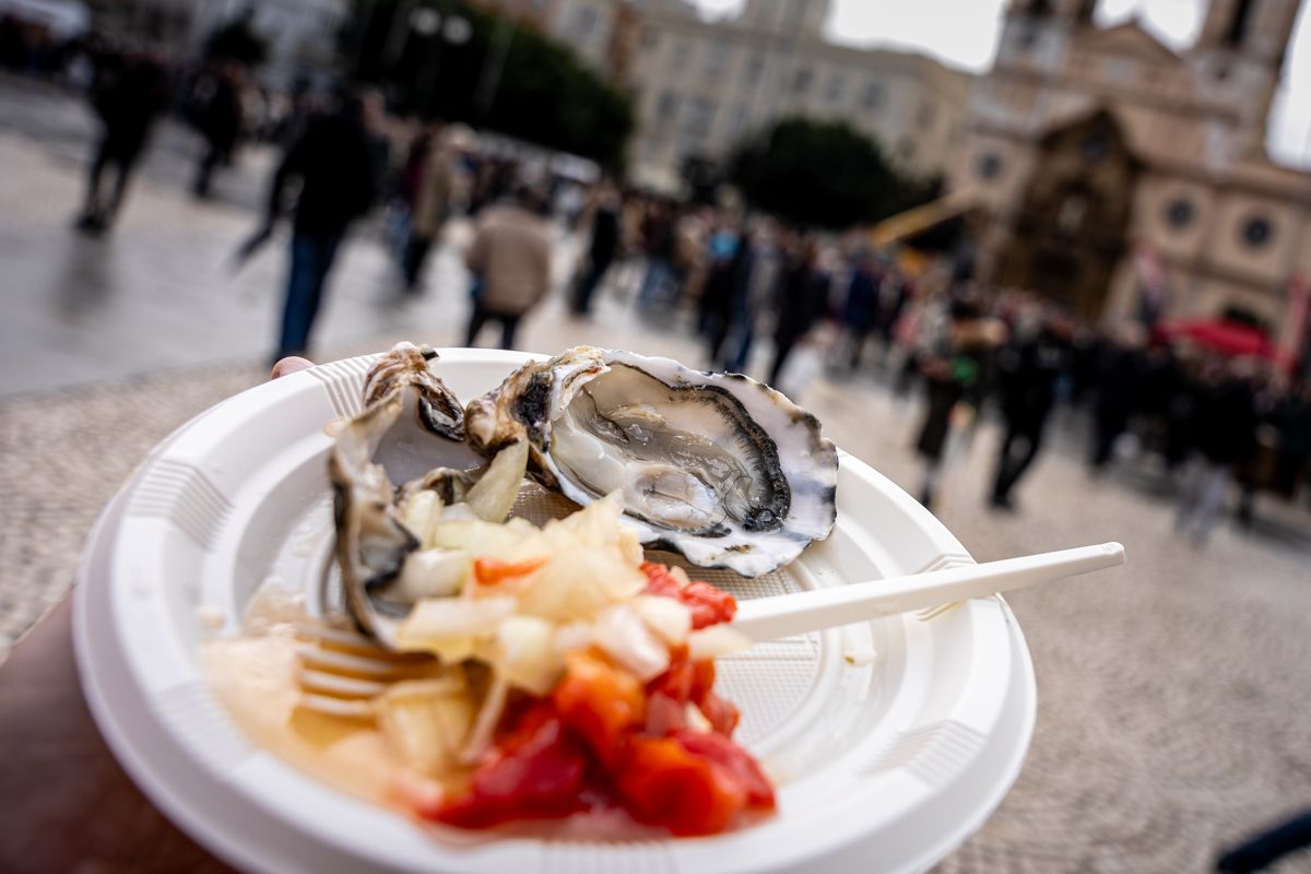 OSTIONADA CADIZ 2026 15