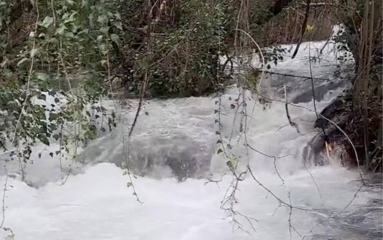 El río Majaceite, bajando con fuerza tras las últimas lluvias