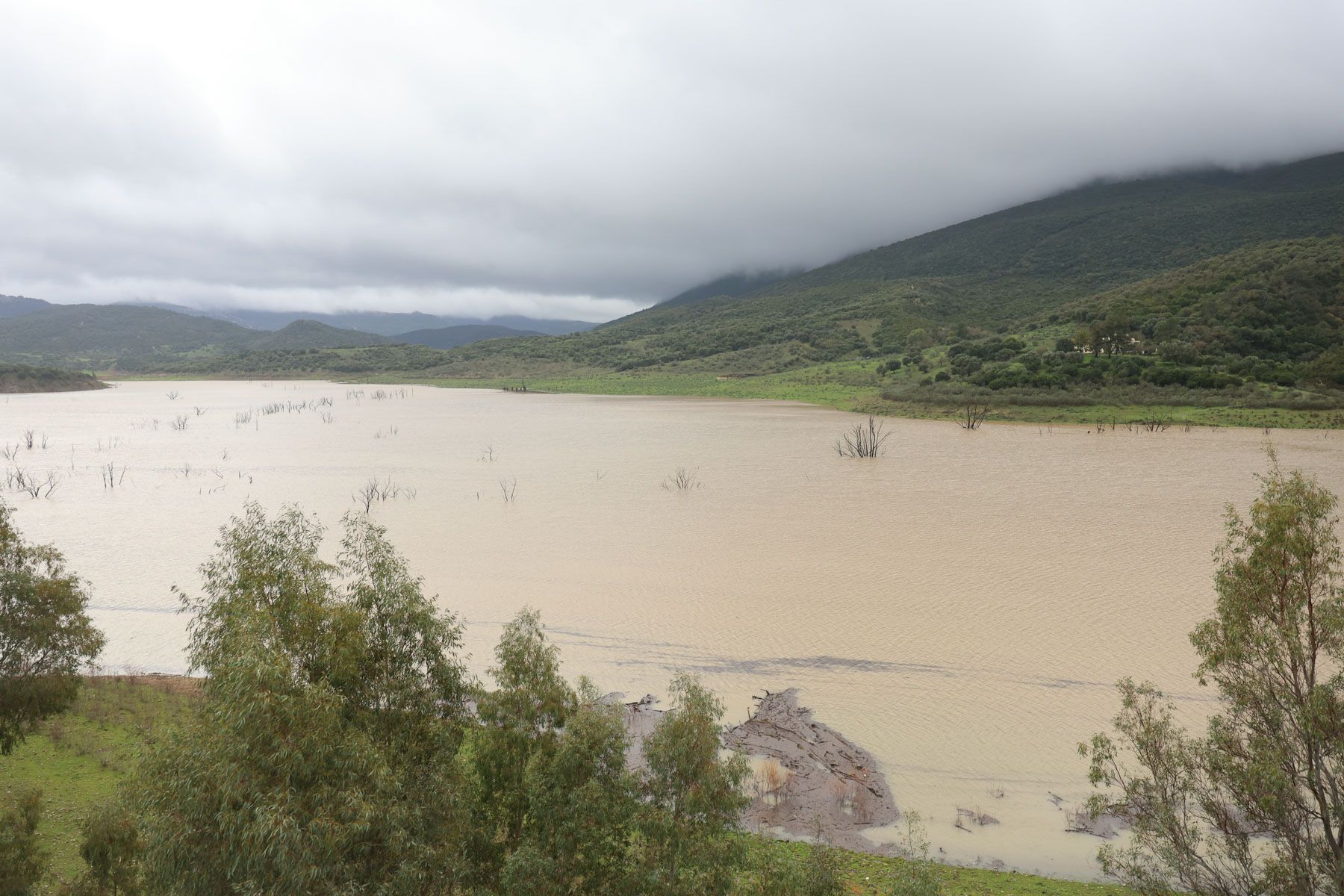 El pantano de Guadalcacín, a la mitad de su capacidad.