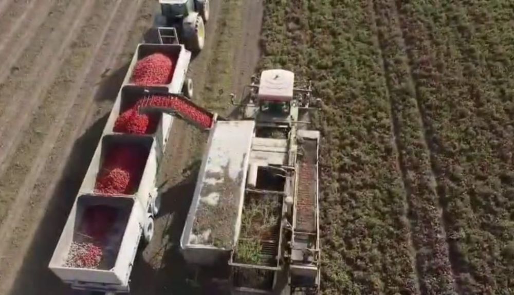 WhatsApp Image 2026 01 26 at 21.36.40