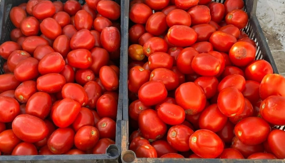 WhatsApp Image 2026 01 26 at 21.36.41