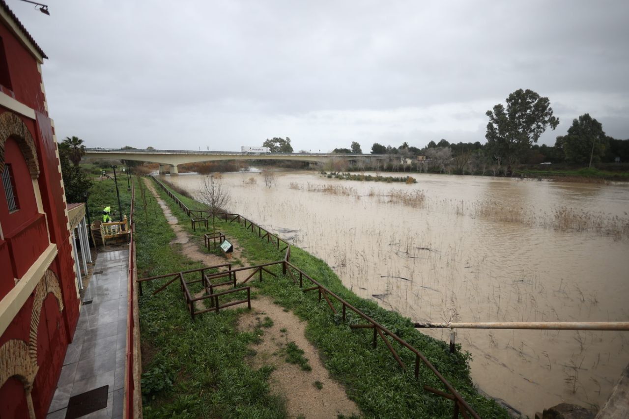 Situación actual en Jerez.