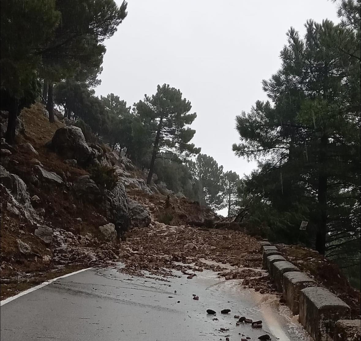 Desprendimiento en la Sierra de Grazalema.