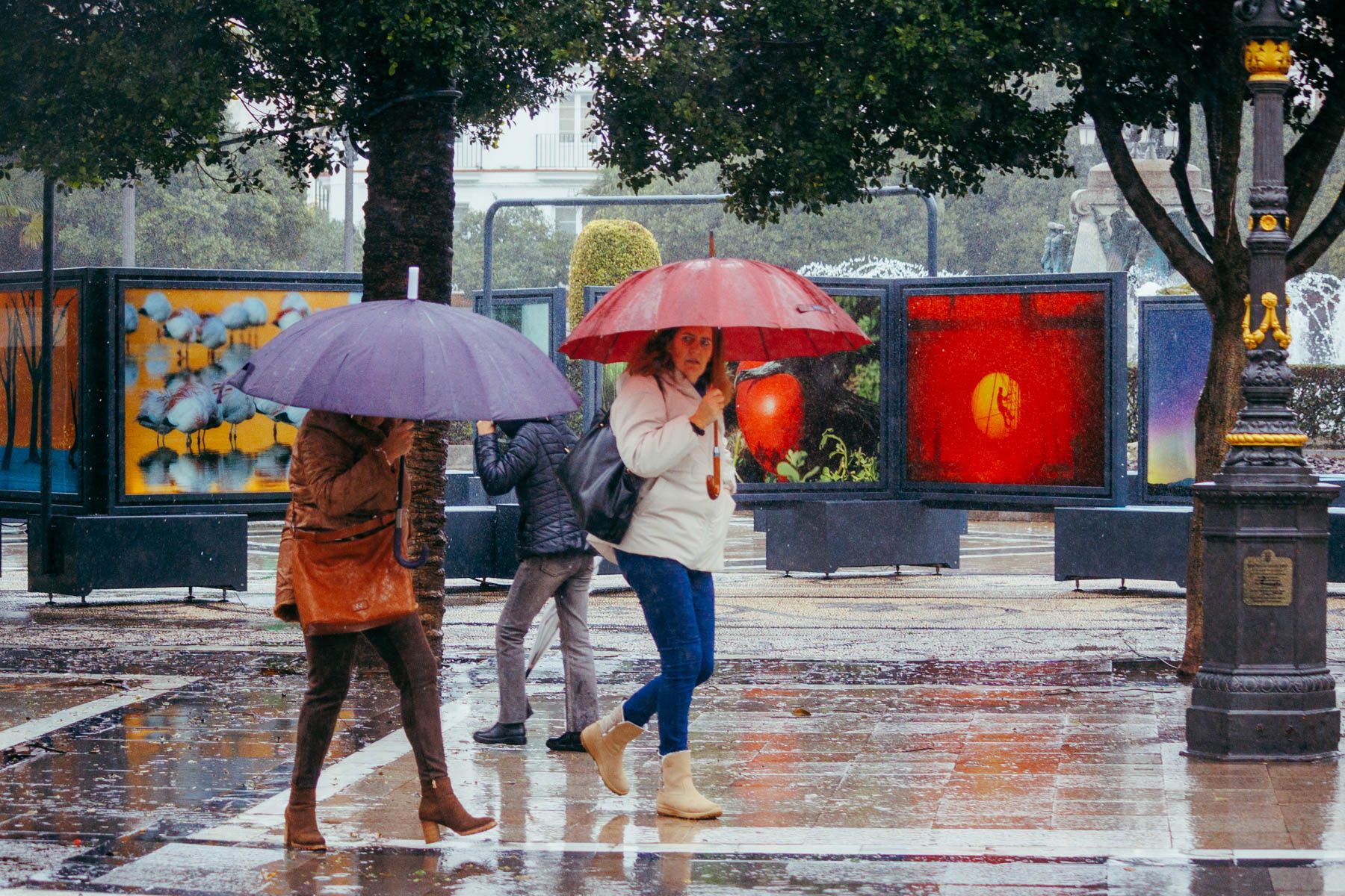 La jornada del miércoles volverá a estar marcada por las condiciones meteorológicas adversas en Andalucía.
