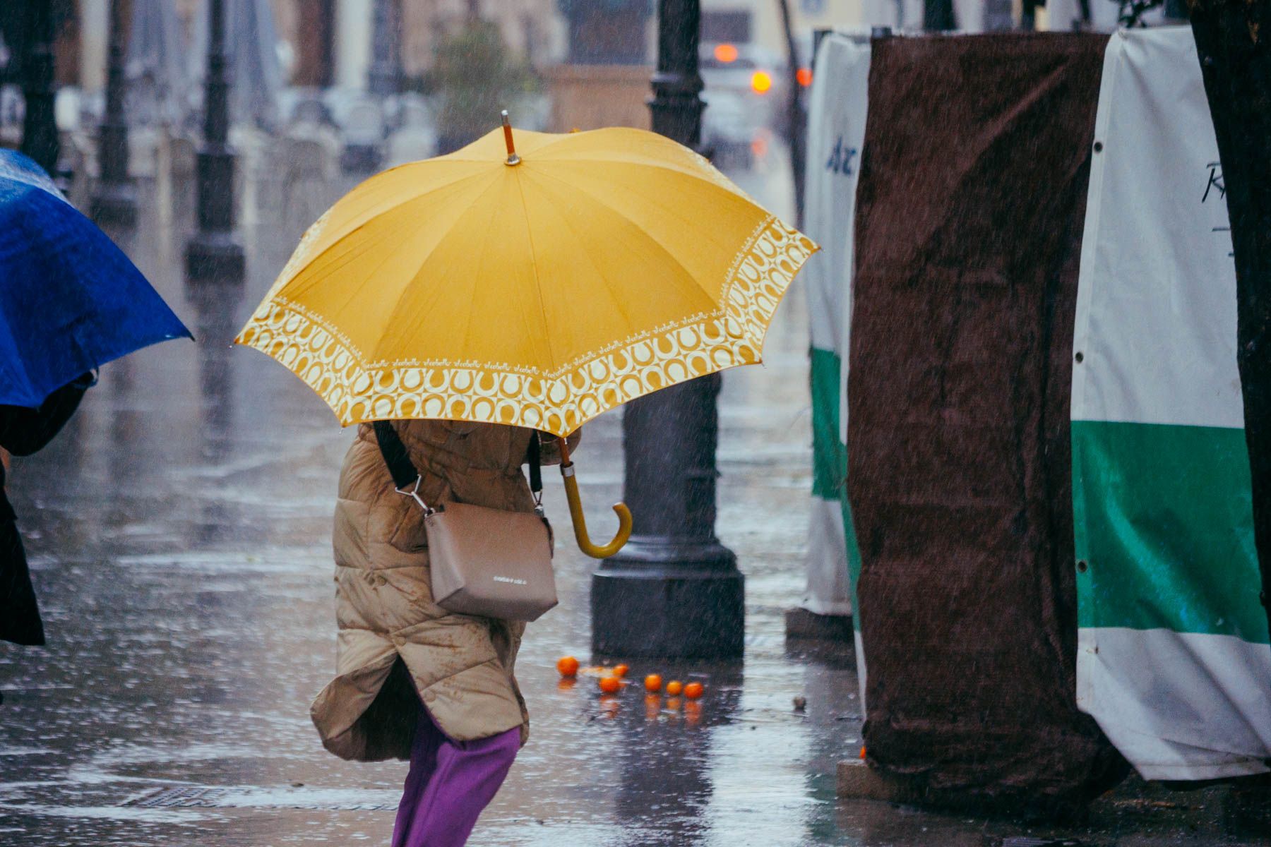 La lluvia ha estado presente durante este mes de enero. La lluvia ha estado presente durante este mes de enero.