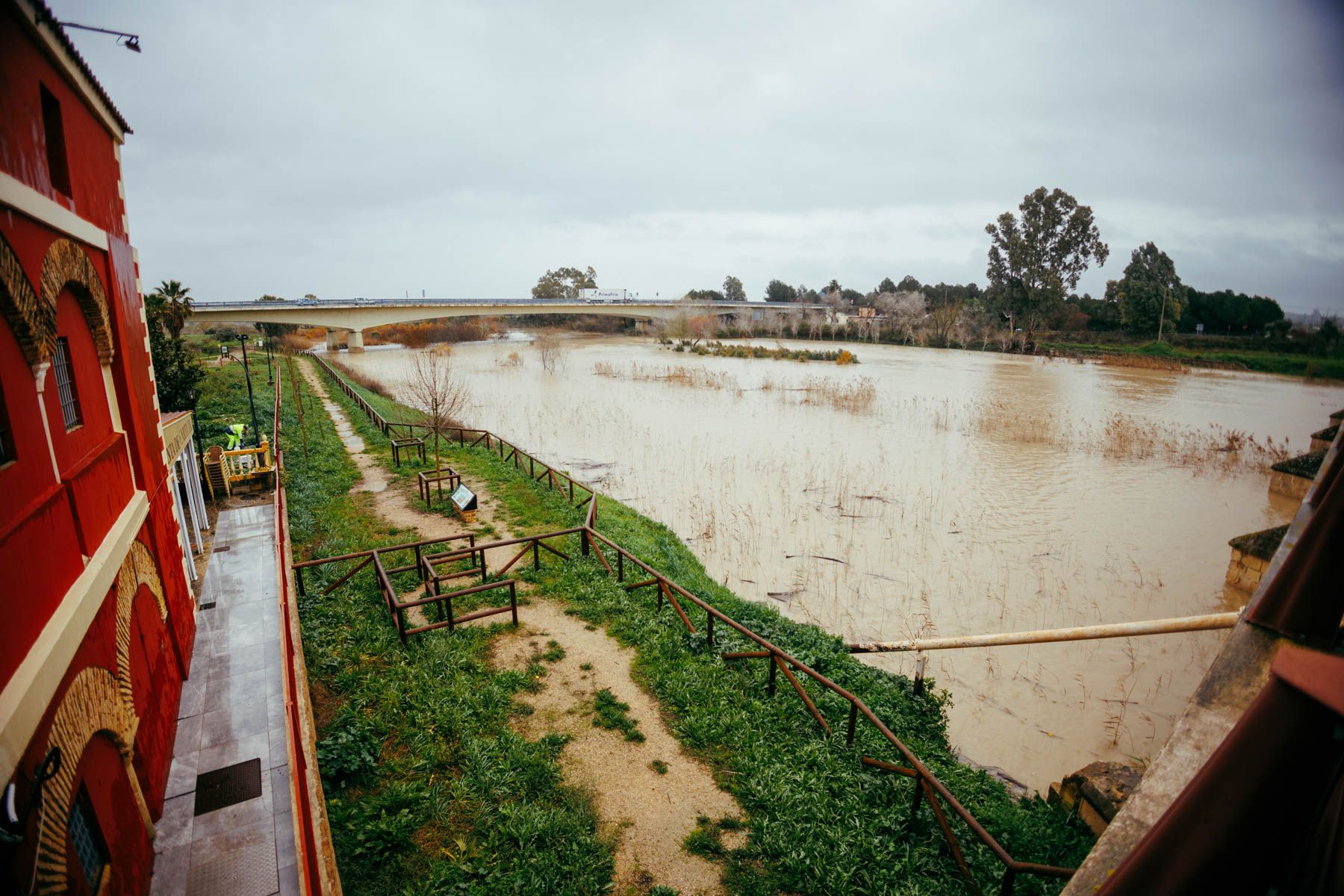 PUENTE DE CARTUJA ENERO 2026 1