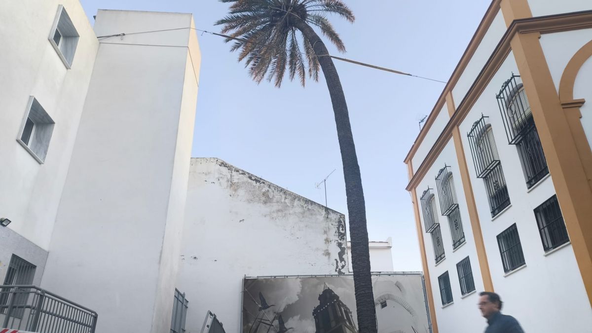 WhatsApp Image 2026 01 27 at 18.53.23