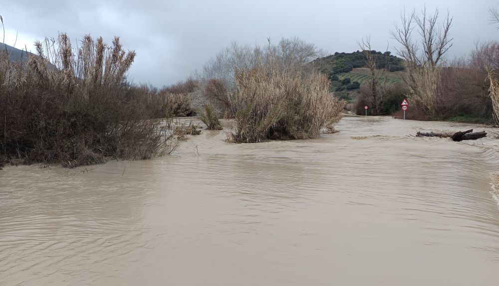 CA9101 Olvera Coripe