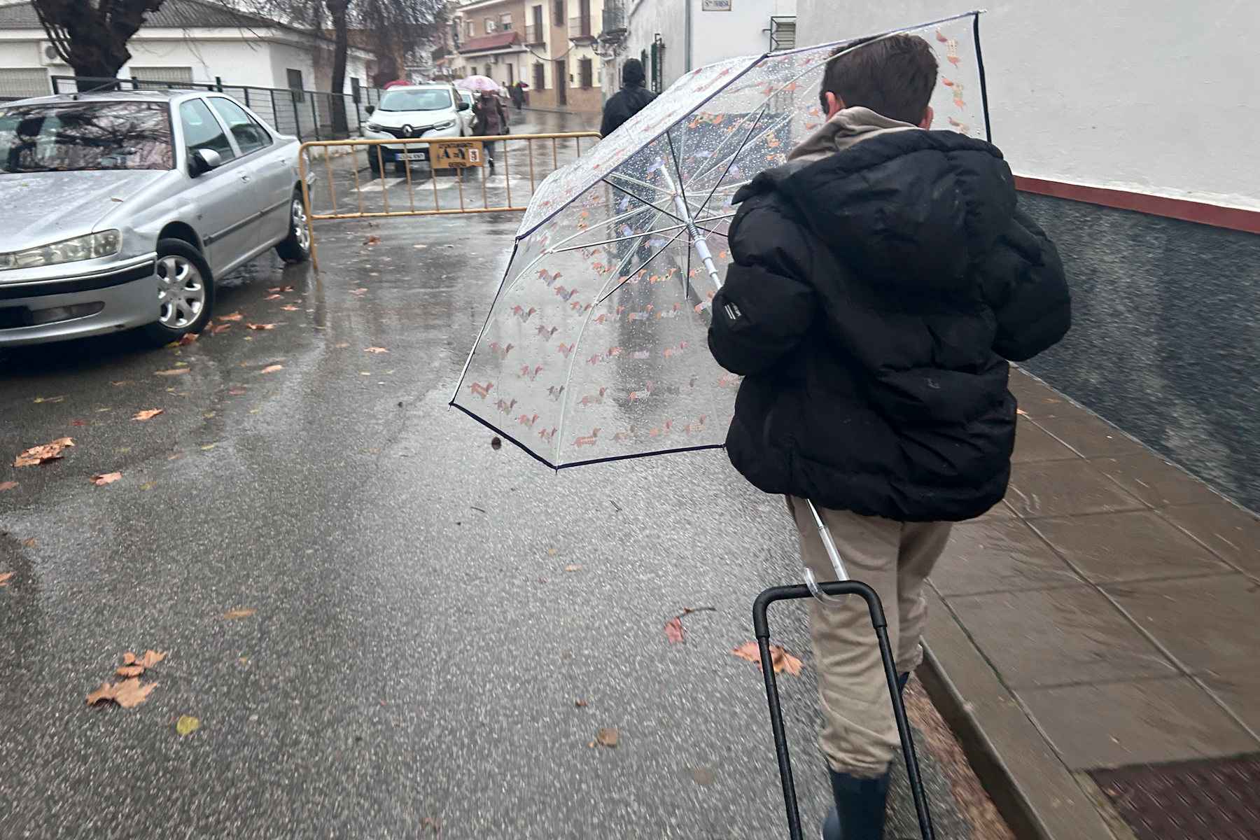 Un niño se protege de la lluvia camino del colegio en la provincia de Sevilla. FOTO: EFE/Fermín Cabanillas Un niño se protege de la lluvia camino del colegio en la provincia de Sevilla. FOTO: EFE/Fermín Cabanillas