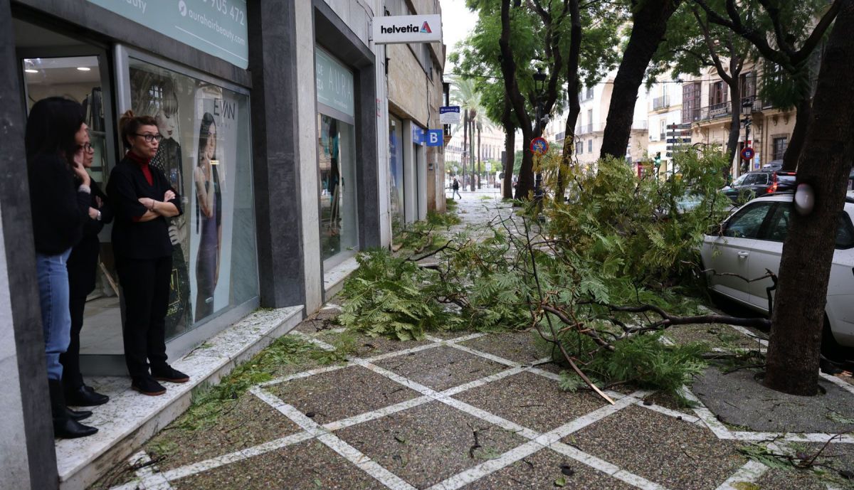 Temporal Kristin Jerez  05