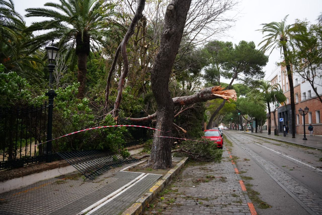 Imagen del temporal este miércoles.