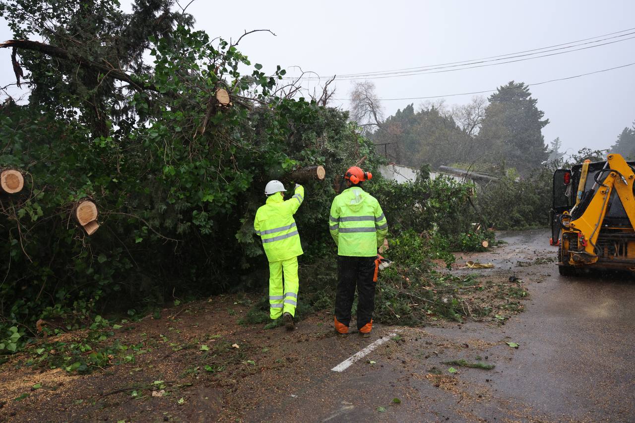Árbol caído en la carretera A-2004