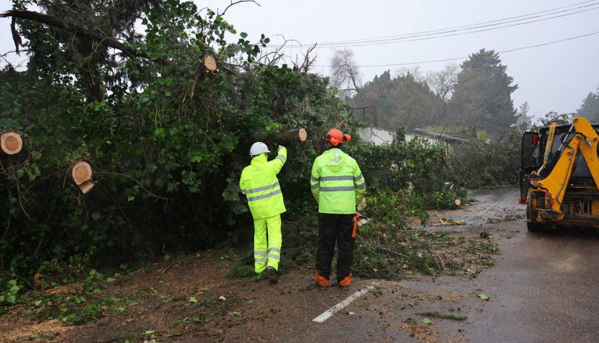 carretera A2004 Cartuja Jerez temporal cortada arboles