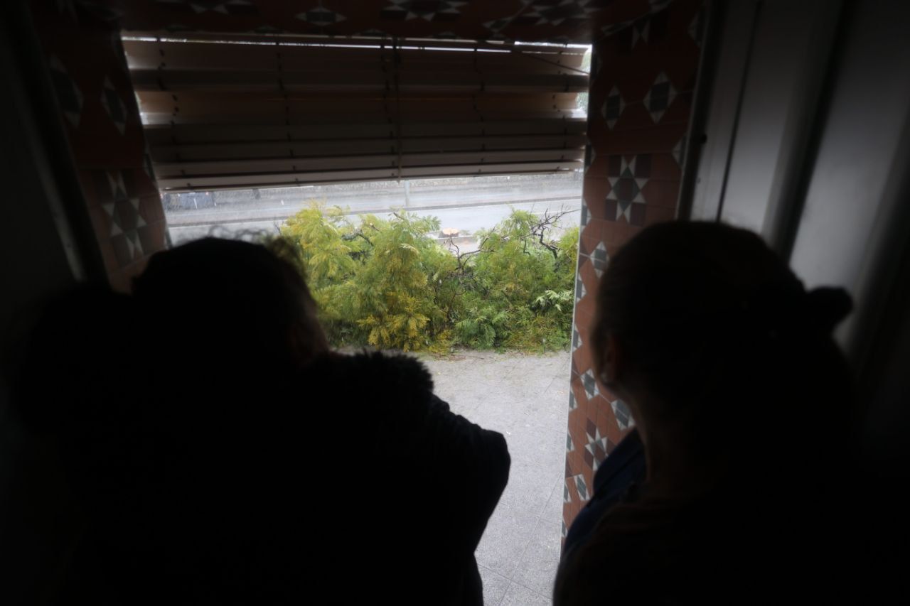 Las vecinas contemplan los árboles derribados por 'Kristin'. Las vecinas contemplan los árboles derribados por 'Kristin'.