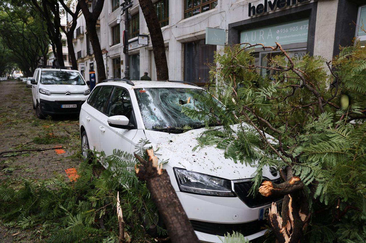 Un coche atrapado en las ramas de un árbol caído por el temporal en  la calle Porvera de Jerez