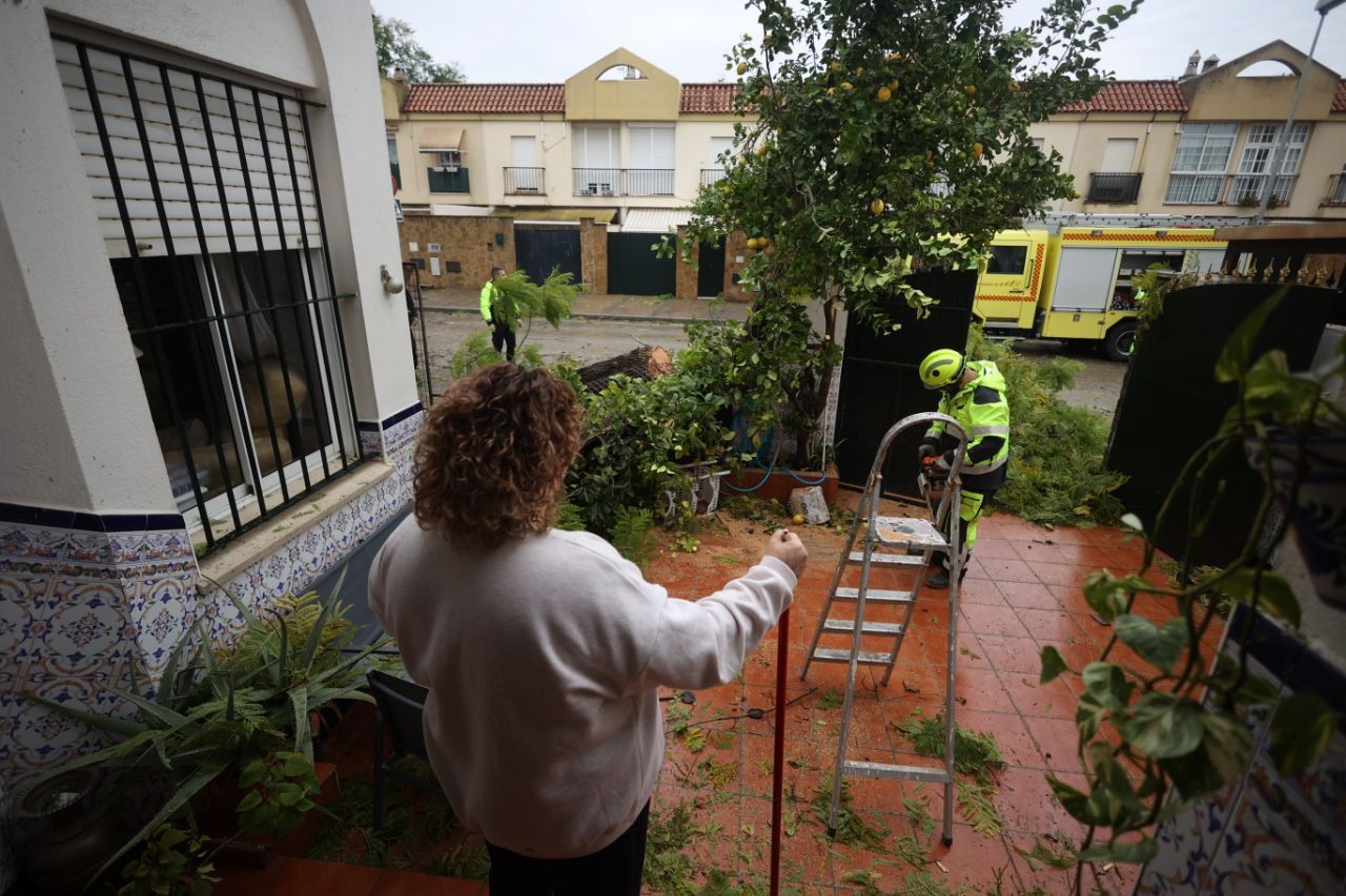 borrasca kristin temporal pago san jose jerez