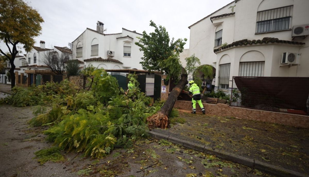 borrasca kristin temporal pago san jose jerez