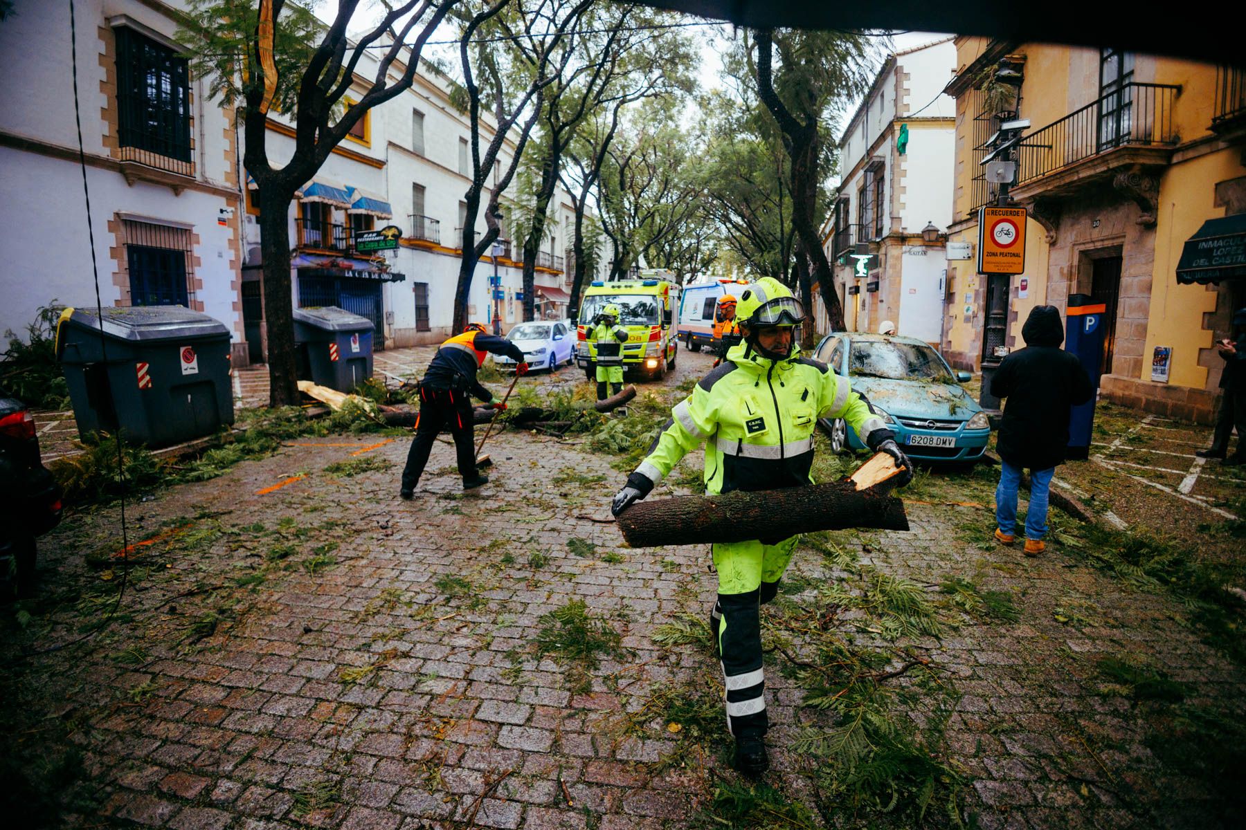 Bomberos retirando un gran rama cada en la calle Porvera