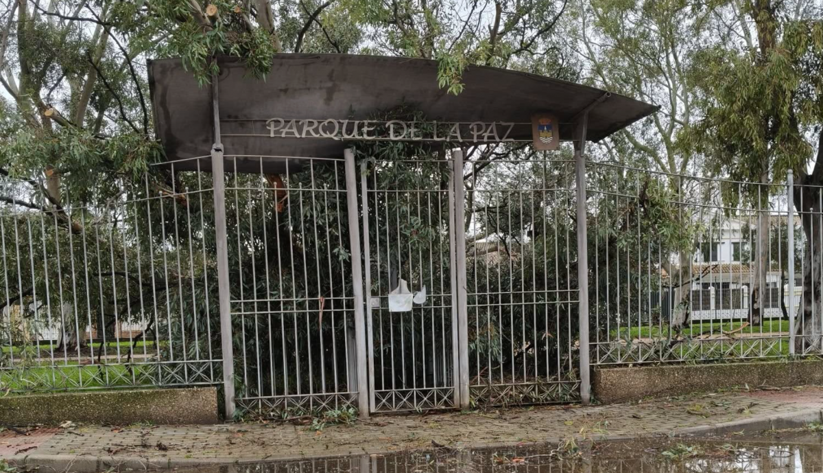 Un ejemplar derribado en una de las entradas del Parque de la Paz.