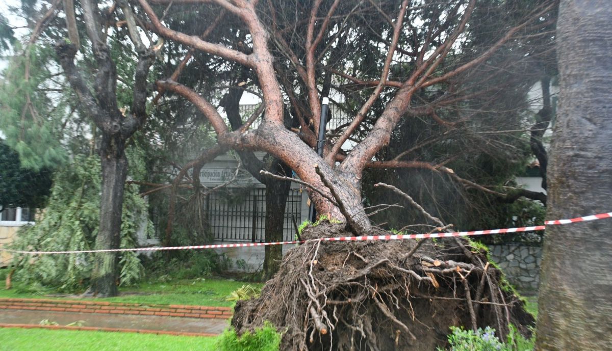 san roque kristin destrozos