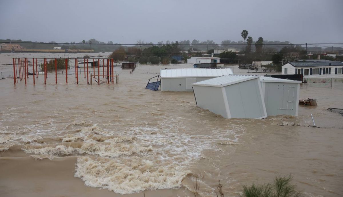 Los efectos de la borrasca Kristin en el Jerez rural. 