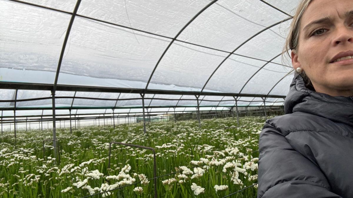 WhatsApp Image 2026 01 29 at 14.14.59