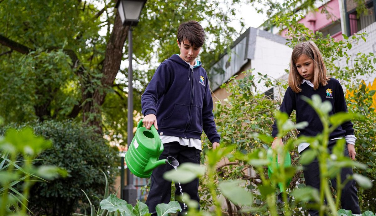colegio de primaria ruiz elias sevilla 25