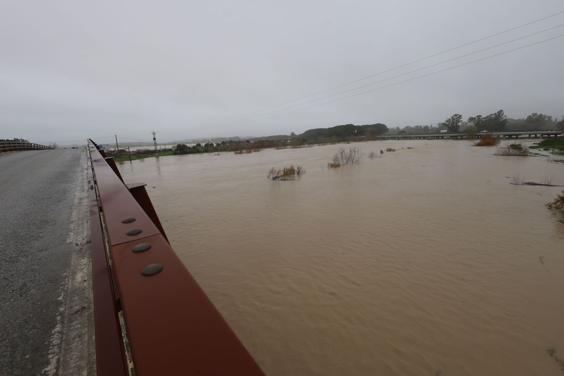 El Guadalete, tras la crecida de esta semana por los últimos temporales.