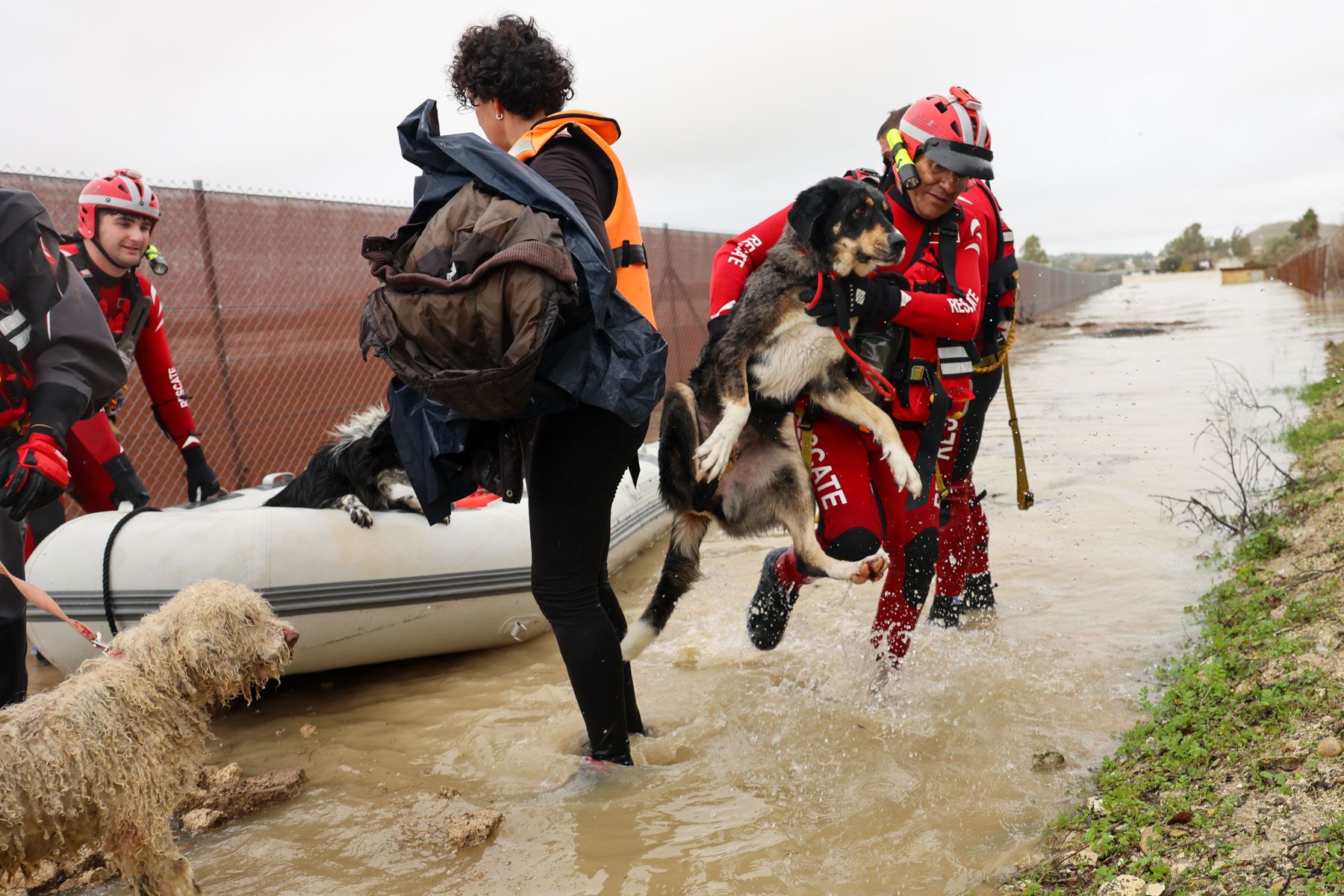 Rescate de animales durante la borrasca 'Kristin' en el Jerez rural.