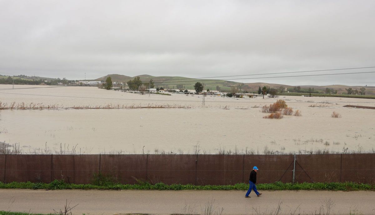 desalojo temporal borrasca kristin jerez rural temporal guadalete inundacion 43