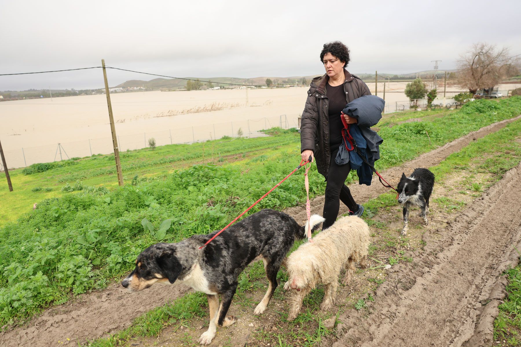 desalojo temporal borrasca kristin jerez rural temporal guadalete inundacion 42