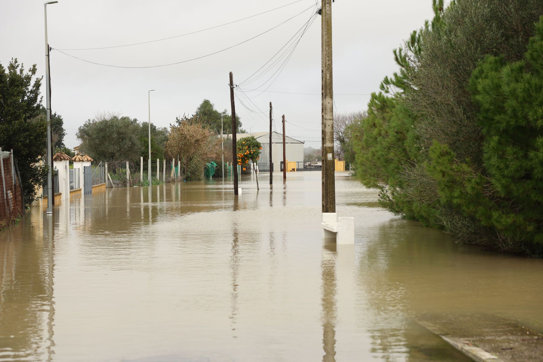 Crecida del río Guadalete en estos días. Crecida del río Guadalete en estos días.
