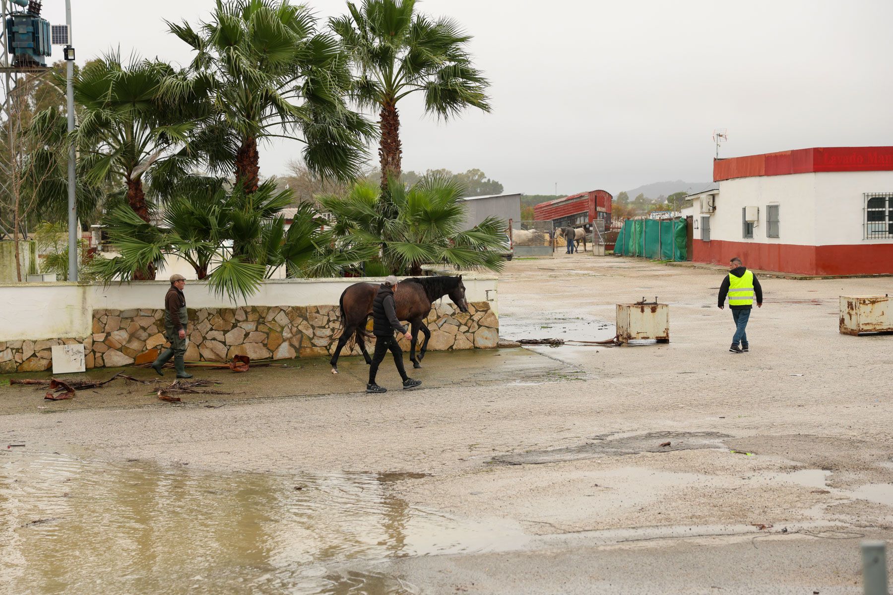 desalojo temporal borrasca kristin jerez rural temporal guadalete inundacion 36
