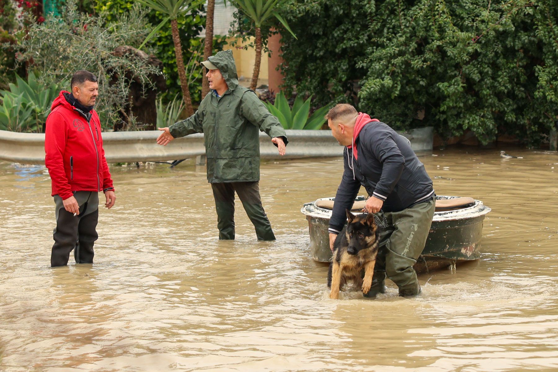Los vecinos del Jerez rural vivieron este jueves una jornada muy dura por la crecida del Guadalete. Los vecinos del Jerez rural vivieron este jueves una jornada muy dura por la crecida del Guadalete.
