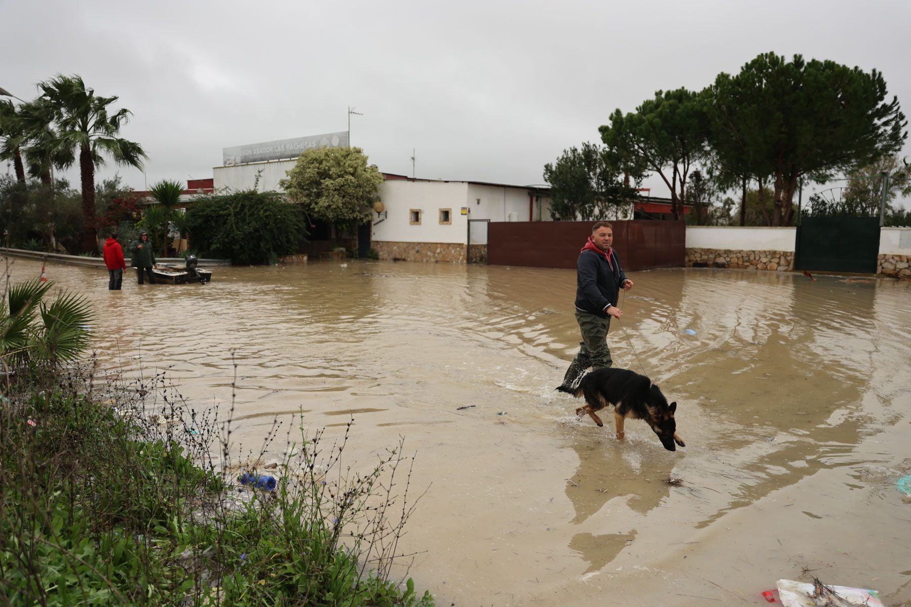 El Jerez rural del entorno del Guadalete se mantiene en alerta debido a las inundaciones provocadas por la crecida del río.