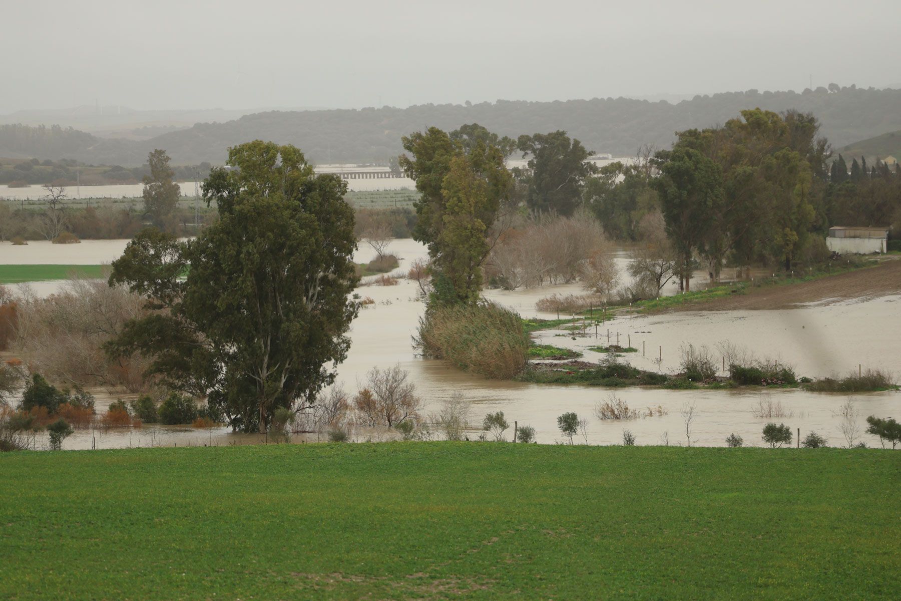 Situación provocada por la crecida del Guadalete. Situación provocada por la crecida del Guadalete.