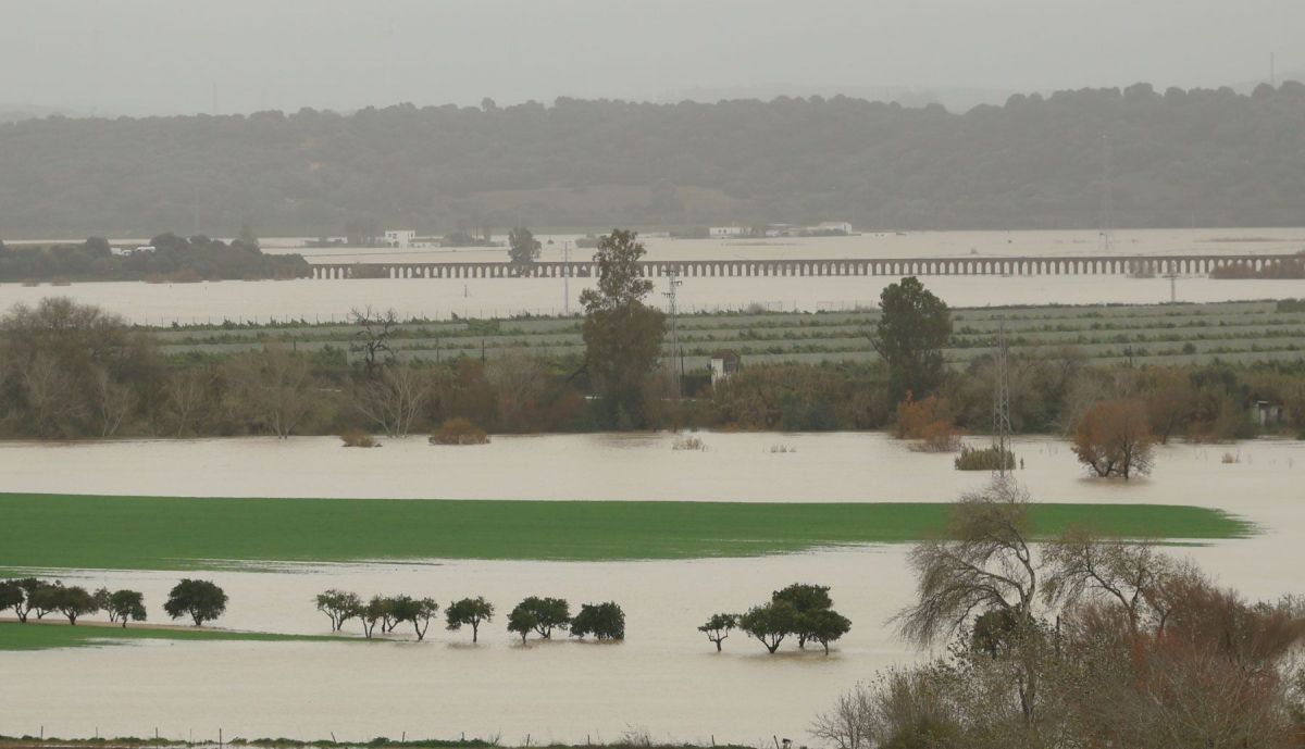 desalojo temporal borrasca kristin jerez rural temporal guadalete inundacion 31
