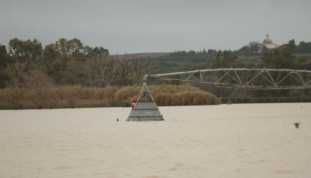 Una imagen de este jueves de la situación del Guadalete.