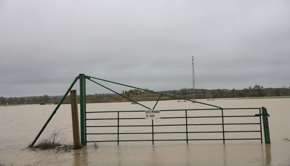 desalojo temporal borrasca kristin jerez rural temporal guadalete inundacion 07