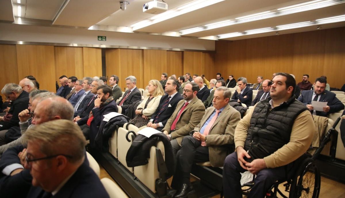 Jermanos mayores asistentes al pleno.   ALEJANDRO CASTILLO