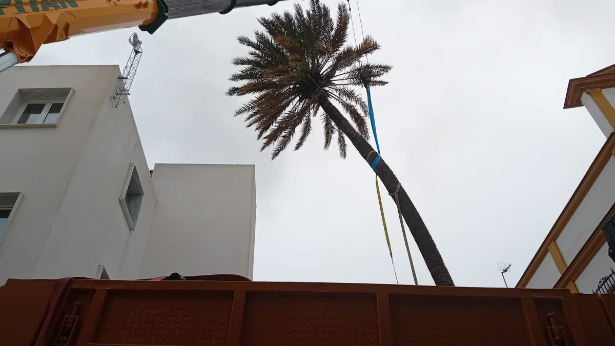 WhatsApp Image 2026 01 30 at 15.41.06