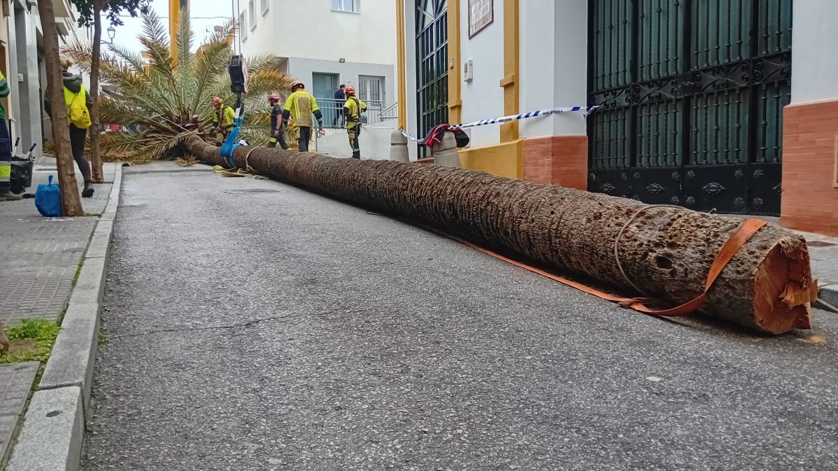 WhatsApp Image 2026 01 30 at 15.41.02