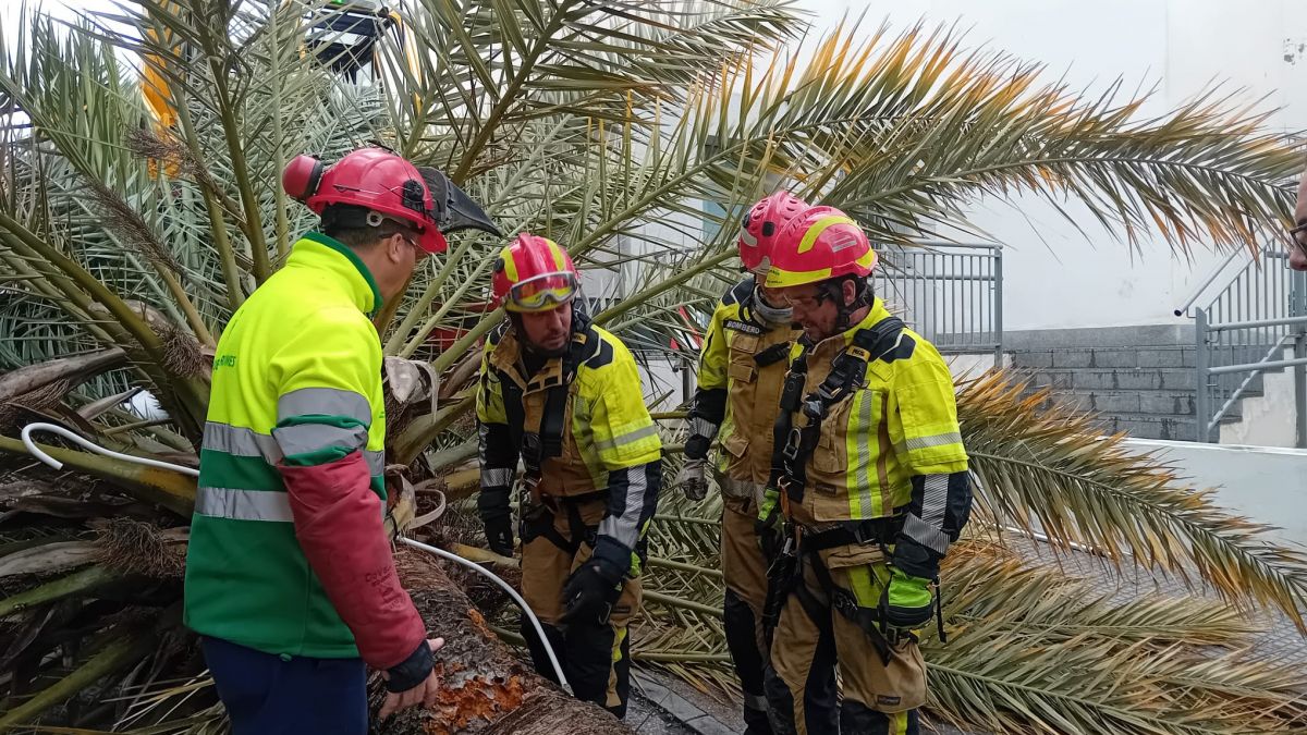 WhatsApp Image 2026 01 30 at 15.41.01 (1)