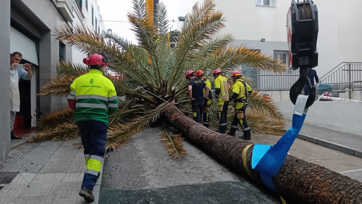 WhatsApp Image 2026 01 30 at 15.41.00 (1)