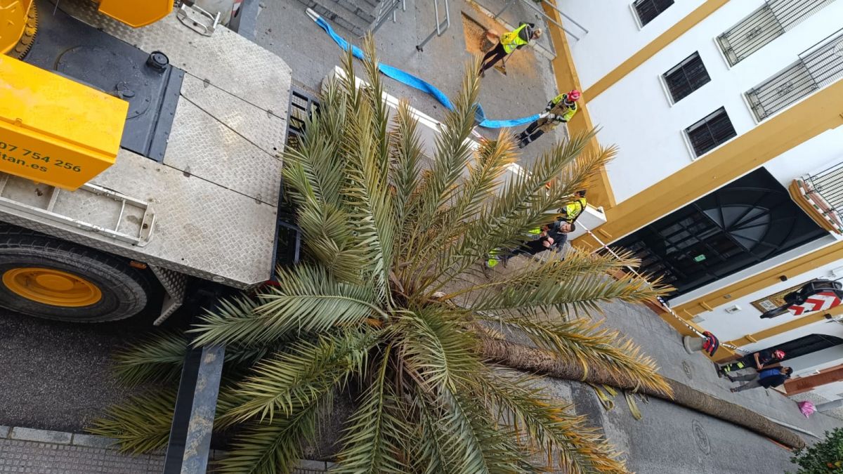 WhatsApp Image 2026 01 30 at 15.49.02 (1)