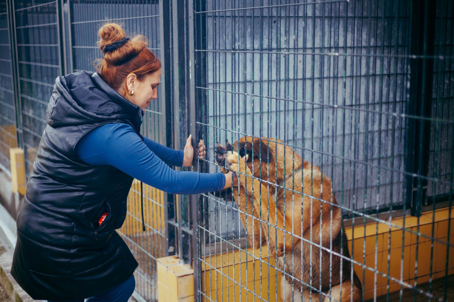Patricia acaricia a su perro Titán, realojado como medida de prevención.
