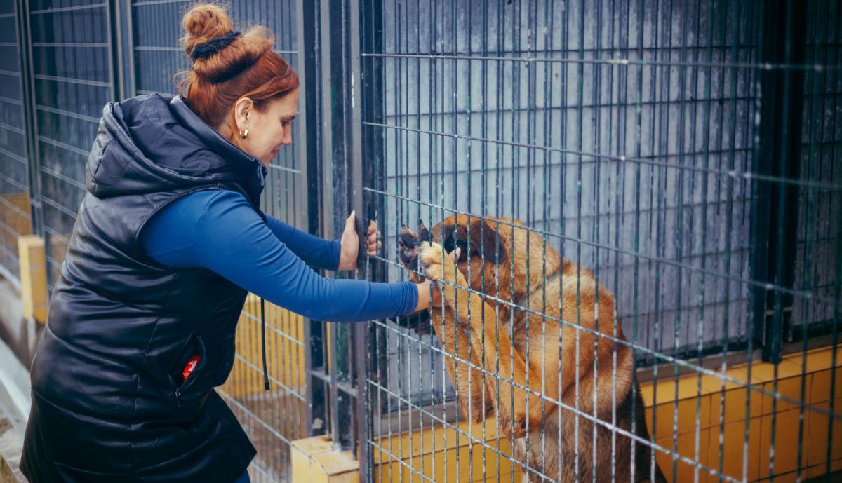 Patricia acaricia a su perro Titán, realojado como medida de prevención.
