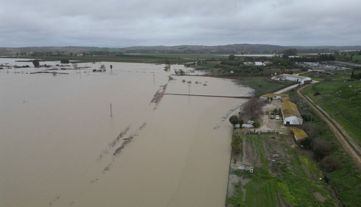 Guadalete inundaciones , la cartuja, La Ina, Las Pachecas 15